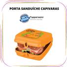 Tupperware Porta Sanduíche