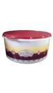 Tupperware Porta Tudo 10 Litros - Bolo Gelado com Tampa Marsala