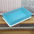 Tupperware Refri Box Plus 1,5lts - Exclusiva Azul com tampa branca