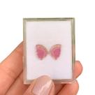 Turmalina Bicolor Placa Borboleta Par 3,51ct Turmalina Bicolor Placa Borboleta Par 3,51ct
