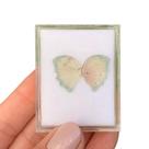 Turmalina Bicolor Placa Borboleta Par 5,68ct Turmalina Bicolor Placa Borboleta Par 5,68ct