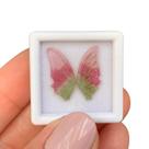 Turmalina Bicolor Placa Par Borboleta 4,15ct