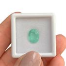 Turmalina Paraíba Greenish Neon Oval 1,90ct