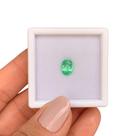 Turmalina Paraíba Verde Neon Oval 1,69ct