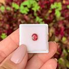 Turmalina Rosa Oval 1,14ct Turmalina Rosa Oval 1,14ct