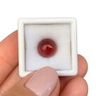 Turmalina Rubelita Olho-de-Gato Oval Cabochão 6,48ct