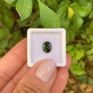 Turmalina Verde Oval 1,69ct (2)