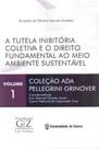 Tutela Inibitória Coletiva e o Direito Fundamental ao Meio Ambiente Sustentável, A