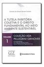Tutela Inibitória Coletiva e o Direito Fundamental ao Meio Ambiente Sustentável, A