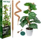Tutor de plantas LveSunny, 2 unidades, 74 cm, postes de musgo flexíveis Tutor de plantas LveSunny, 2 unidades, 74 cm, postes de musgo flexíveis