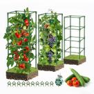 Tutor para Tomate SHCCPPJ 3 Unidades 108 cm Metal Resistente à Ferrugem Tutor para Tomate SHCCPPJ 3 Unidades 108 cm Metal Resistente à Ferrugem