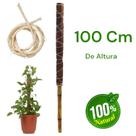 Tutor Planta Trepadeira Estaca Bambu Fibra De Coco 100 cm Suporte