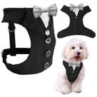 Tuxedo para cães AVERYDAY para roupa de casamento com gravata borboleta para cães Tuxedo para cães AVERYDAY para roupa de casamento com gravata borboleta para cães