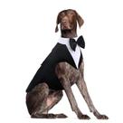 Tuxedo para cães DORA BRIDAL XL, terno formal grande e gravata borboleta