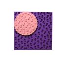 TX21 Marcador textura pasta americana biscuit confeitaria abacaxi