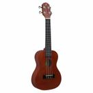 Ukulele Giannini Eletroacústico Concert Start UKS23 EL NA