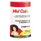 Umidifica - Mel cola para Cachos Naturais e Orgânicos 1Kg