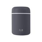 Umidificador De Ar Com Led Cinza 300Ml - Bono