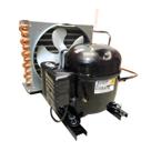 Unidade Condensadora Tecumseh 1 3 Hp R22 220v Uae4440egs1b