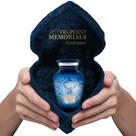Urna de cremação Trupoint Memorials Small Blue Dove para adultos