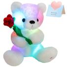 Ursinho de pelúcia Houssbaby Glow com luz noturna LED