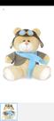 Urso aviacao