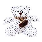 Urso Branco Pontilhado Com Cachecol 27cm - Pelúcia