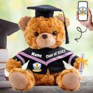 Urso de formatura de bichos de pelúcia personalizado de 2024