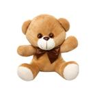 Urso De Pelúcia 20Cm Decoração Infantil Brinquedo Presente Ursinho Macio com Laço