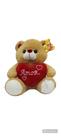 Urso de pelúcia 25cm com coração