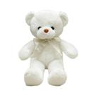 Urso de Pelúcia 30cm - Macio e Ideal para Presente de Aniversário ou Casamento