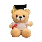 Urso De Pelúcia Com Chapéu De Doutor De 18cm Para Meninos, Meninas E Estudantes, Presente De