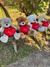 Urso De Pelúcia Com Coração Grande Eu Te Amo 50cm Cores