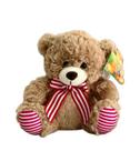 Urso de Pelúcia com Laço FE7372 - Fizzy Urso de Pelúcia com Laço FE7372 - Fizzy