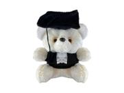 Urso De Pelúcia Com Toga