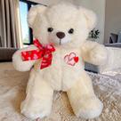 Urso de Pelúcia Coração Amor Com Laço 25cm Ursinho Teddy Cor:Creme