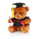 Urso de pelúcia de formatura Yixiang 8,5 polegadas com óculos e diploma Urso de pelúcia de formatura Yixiang 8,5 polegadas com óculos e diploma