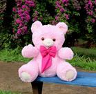 Urso de Pelúcia Dengo com Laço Decorativo 38cm