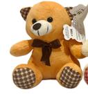 Urso de Pelúcia FE7082- Fizzy Toys