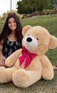 Urso De Pelúcia Gigante Teddy - Grande - 90 cm Urso De Pelúcia Gigante Teddy - Grande - 90 cm