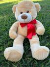 Urso De Pelucia Macio Bicho 50cm Criança Presente Com Laço Várias Cores
