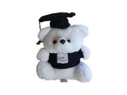 Urso de pelúcia para presente de formatura