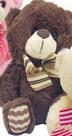Urso De Pelúcia Pequeno Com Laço 18Cm FE7156 Cinza/Bege/Marrom/Rosa/Creme - Fizzy