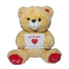 Urso de Pelúcia Romântico para Presente e Decoração Urso de Pelúcia Romântico para Presente e Decoração