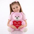 Urso Grande com Coração Bordado "Eu Te Amo" de Pelúcia 30cm Presente Fofo Decoração Urso Grande com Coração Bordado "Eu Te Amo" de Pelúcia 30cm Presente Fofo Decoração