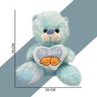 Urso pelúcia 25cm com Coração Selo Inmetro presente