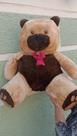 Urso pelucia