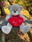 Urso Pelúcia Grande Com Coração 50cm Presente Cores