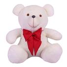 Urso Teddy De Pelúcia Tamanho 50cm G