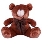 Urso Teddy De Pelúcia Tamanho 50cm G